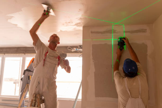 Best Airborne Mold Testing  in Mcleansboro, IL