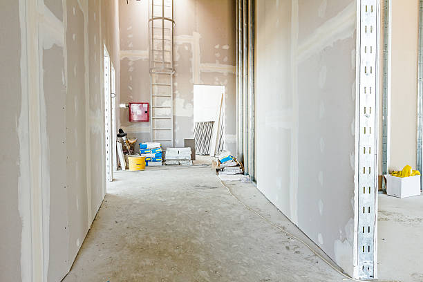 Best Attic Mold Removal  in Mcleansboro, IL